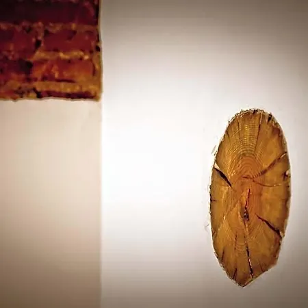 فندق Casa Luna زافرا